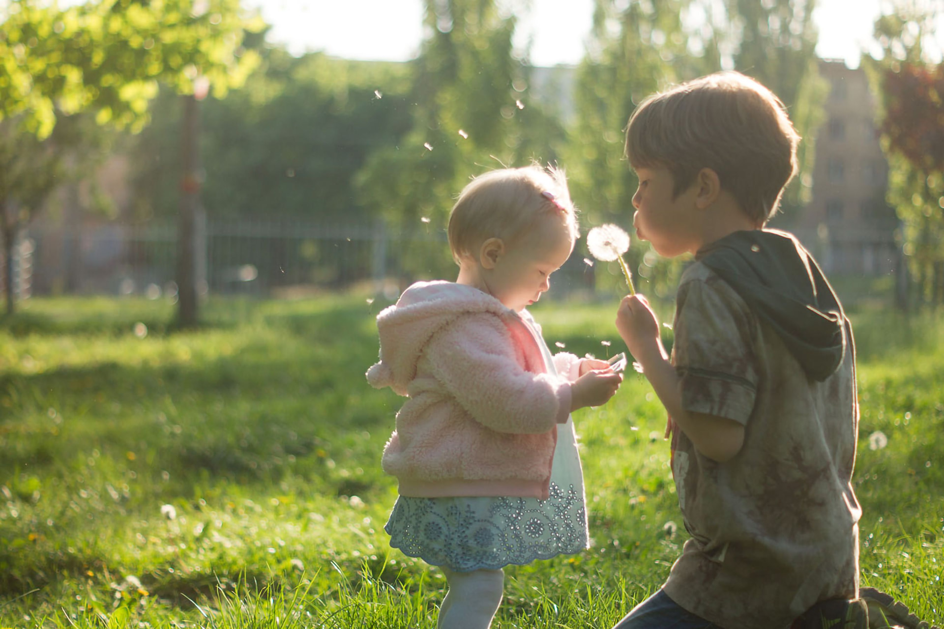 Two children blowing a dandelion together in a sunlit park